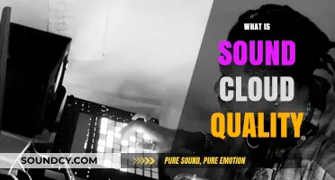 Exploring SoundCloud Quality: Audio Streaming Standards and User Experience