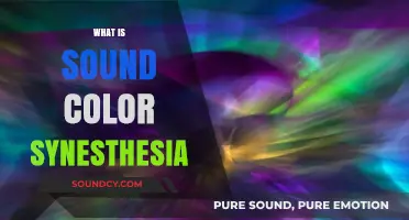 Exploring Sound Color Synesthesia: When Music Paints Vibrant Visuals