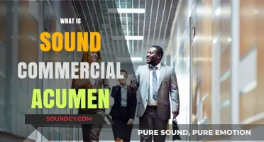 Understanding Sound Commercial Acumen: Key Principles for Business Success