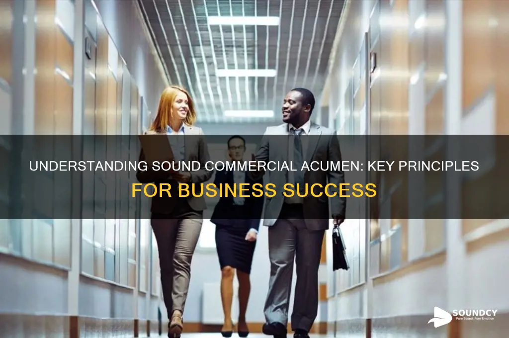 what is sound commercial acumen