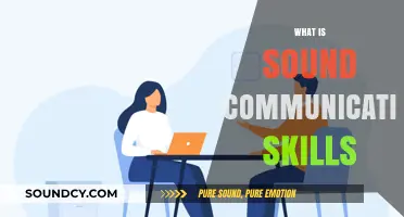 Mastering Effective Communication: Key Skills for Clear and Impactful Dialogue