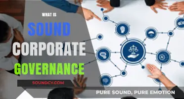 Understanding Sound Corporate Governance: Principles, Practices, and Business Benefits