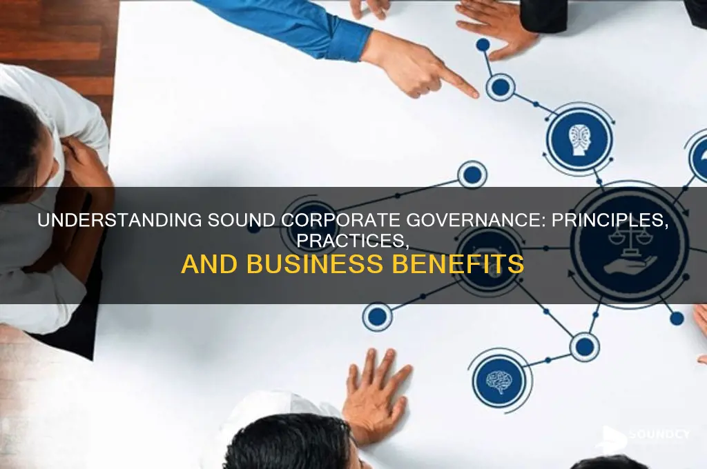 what is sound corporate governance