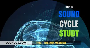 Understanding Sound Cycle Study: Exploring Acoustic Patterns and Environmental Impacts