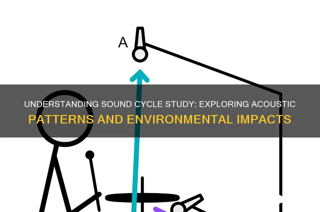 what is sound cycle study