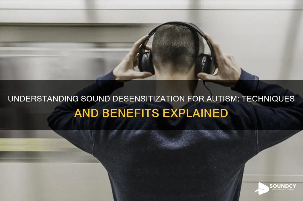 what is sound desensitization autism