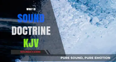 Understanding Sound Doctrine: A King James Version Biblical Perspective