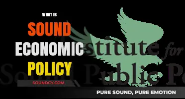Understanding Sound Economic Policy: Principles for Sustainable Growth and Stability