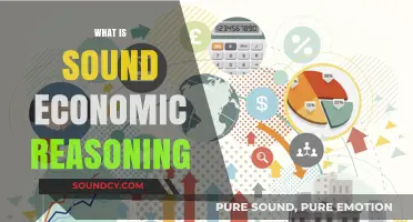 Understanding Sound Economic Reasoning: Principles for Rational Decision-Making