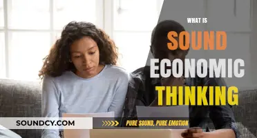 Understanding Sound Economic Thinking: Principles for Rational Decision-Making
