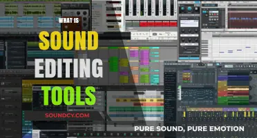 Mastering Audio: Essential Sound Editing Tools for Professionals and Beginners
