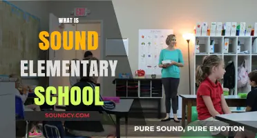 Exploring Sound Elementary School: A Comprehensive Guide for Parents and Students