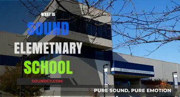 Exploring Sound Elementary School: Curriculum, Community, and Campus Life