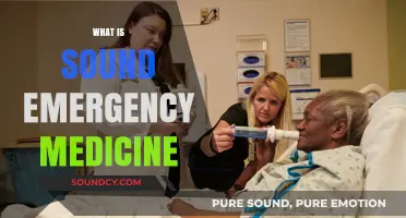 Understanding Sound Emergency Medicine: Principles, Practices, and Patient Care