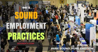 Mastering Sound Employment Practices: Strategies for Fair and Productive Workplaces