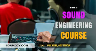 Exploring Sound Engineering: Course Overview, Career Paths, and Skills