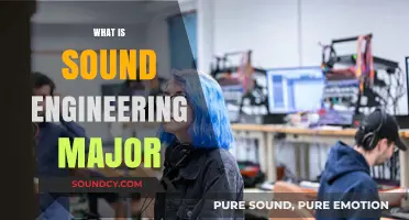 Exploring Sound Engineering: A Comprehensive Guide to the Major