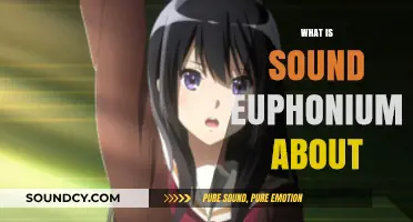 Exploring Sound! Euphonium: Themes, Characters, and Musical Journey Explained