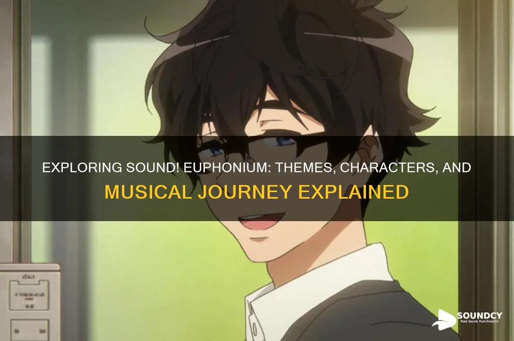 what is sound euphonium about
