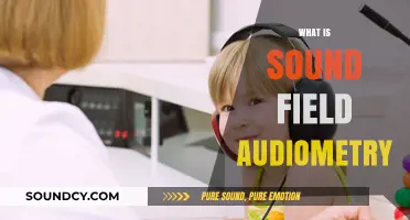 Understanding Sound Field Audiometry: A Comprehensive Hearing Test Explained