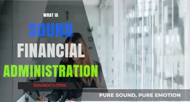 Mastering Sound Financial Administration: Key Principles for Effective Money Management