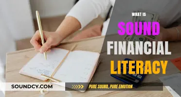 Mastering Money: Understanding Sound Financial Literacy for a Secure Future