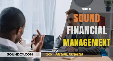 Mastering Sound Financial Management: Strategies for Long-Term Wealth and Stability