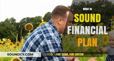 Mastering Your Finances: Understanding a Sound Financial Plan