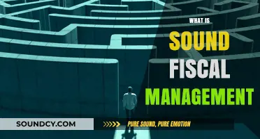 Mastering Sound Fiscal Management: Strategies for Financial Stability and Growth
