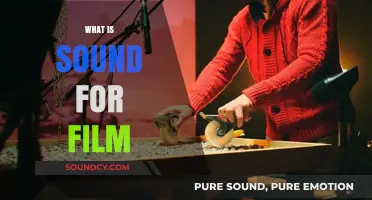 The Art of Cinematic Sound: Crafting Audio for Film Impact