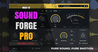 Exploring Sound Forge Pro: Advanced Audio Editing Software Features