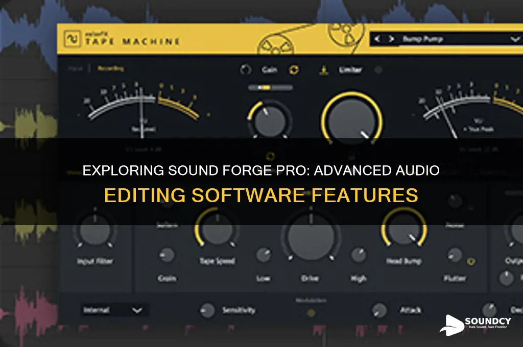 what is sound forge pro