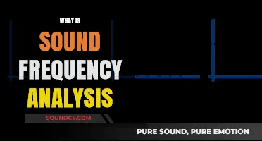 Understanding Sound Frequency Analysis: Techniques, Applications, and Benefits