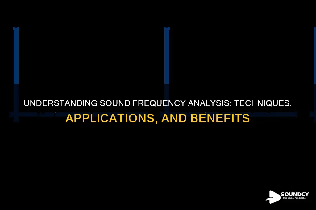 what is sound frequency analysis