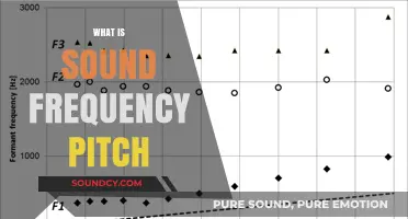 Understanding Sound Frequency and Pitch: A Comprehensive Guide to Audio Basics