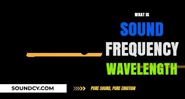 Understanding Sound: Frequency, Wavelength, and Their Relationship Explained