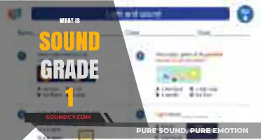 Understanding Sound: A Simple Grade 1 Introduction for Beginners