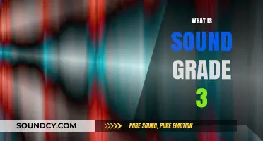 Exploring Sound: A Grade 3 Guide to Understanding Vibrations and Noise