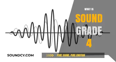 Exploring Sound: A Grade 4 Guide to Understanding Vibrations and Waves