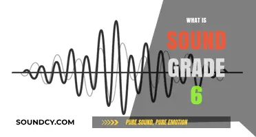 Exploring Sound: A Grade 6 Guide to Understanding Vibrations and Waves