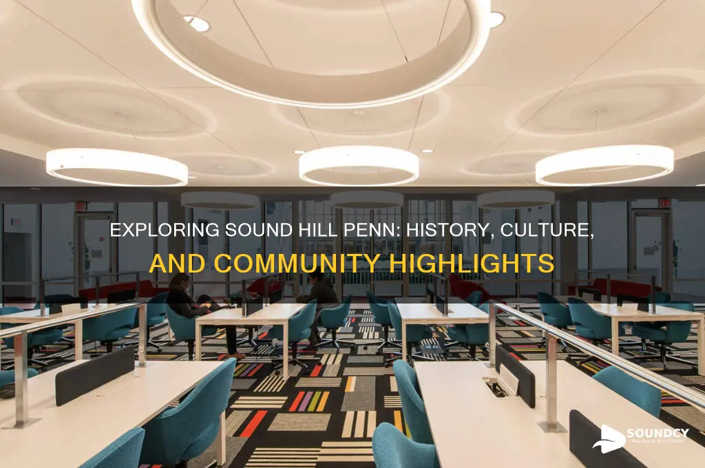 what is sound hill penn