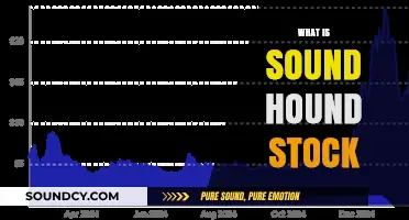 Understanding SoundHound Stock: Opportunities, Risks, and Investment Potential Explained