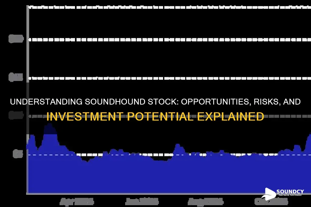 what is sound hound stock