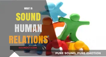 Understanding Sound Human Relations: Building Positive Connections in Life and Work