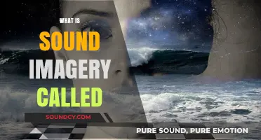 Exploring Sound Imagery: The Art of Auditory Evocation in Writing