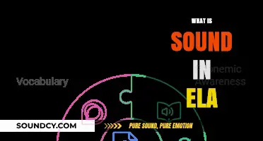 Understanding Sound in ELA: Exploring Phonics and Language Fundamentals