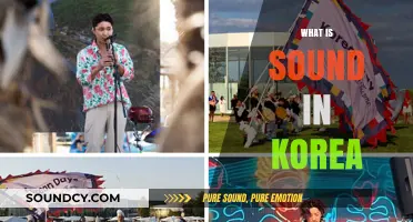 Exploring Korea's Unique Soundscape: Traditions, K-Pop, and Urban Echoes