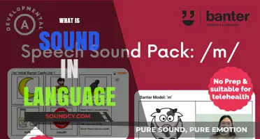 Understanding Sound in Language: Phonetics, Phonology, and Communication Essentials