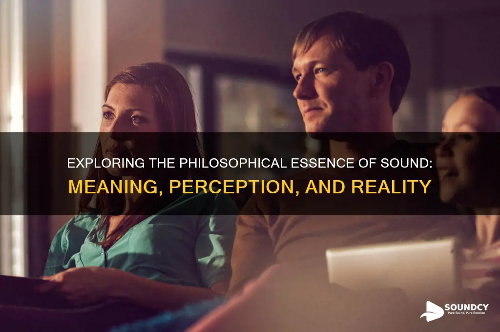 what is sound in philosophy