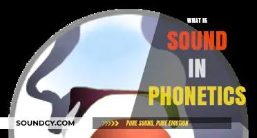 Understanding Sound in Phonetics: A Comprehensive Guide to Speech Sounds